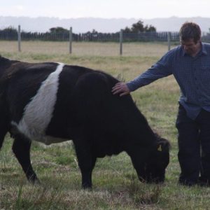 Livestock checking