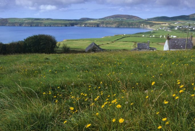 National Trust PONT Cymru farming for the future Llyn Peninsula