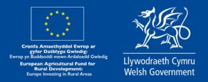 Welsh Government Funding Logo