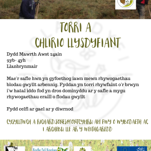 Torri A Chlirio Llysdyfiant